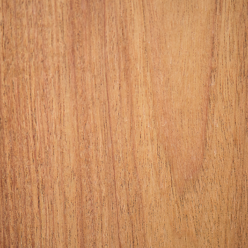 Canarywood