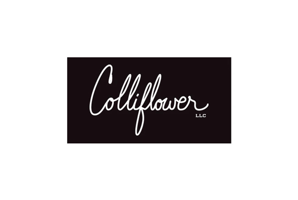 Colliflower Zero Clearance Inserts – The Wood Vault