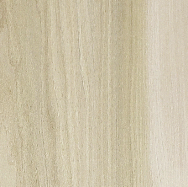 Poplar wood grain