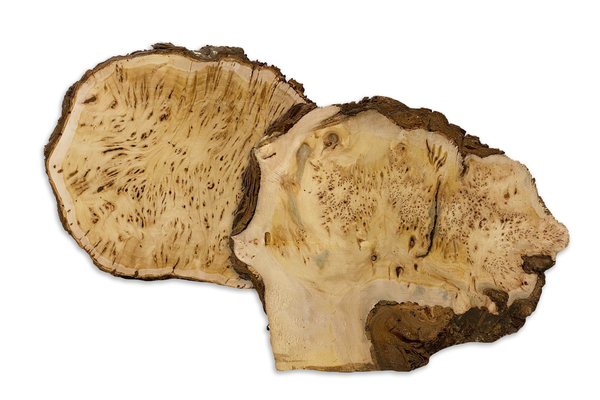 Yellow Cedar Burls 