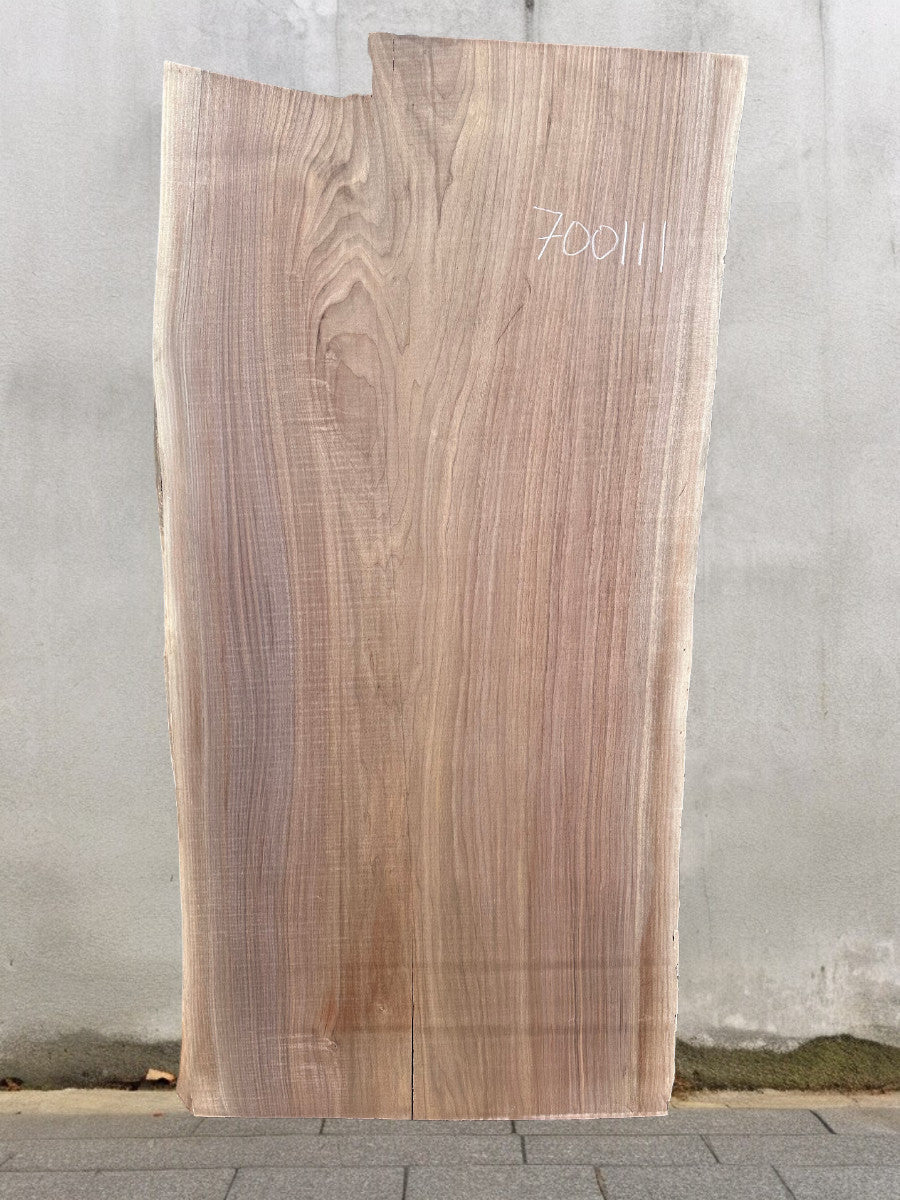 Walnut #700111