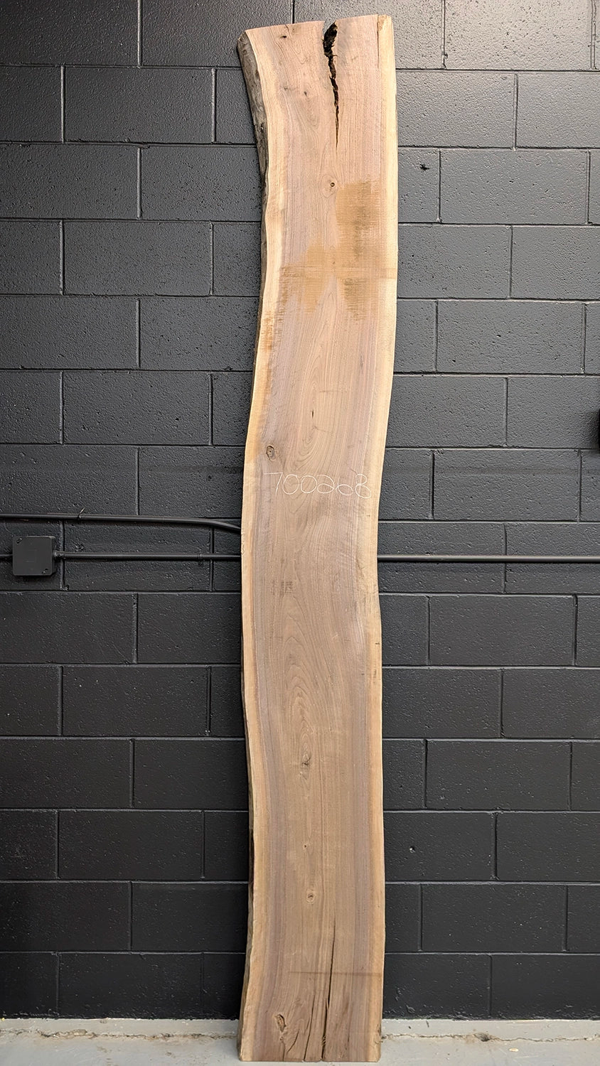 long and straight live edge walnut slab