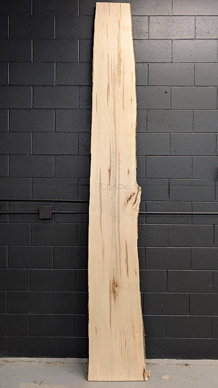Maple #700306