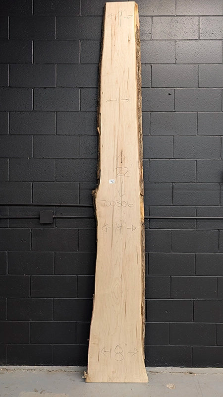 Maple #700306