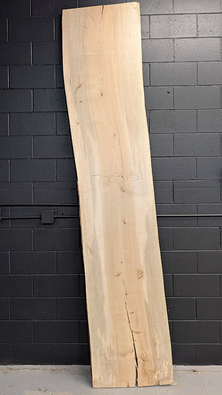Maple #700313