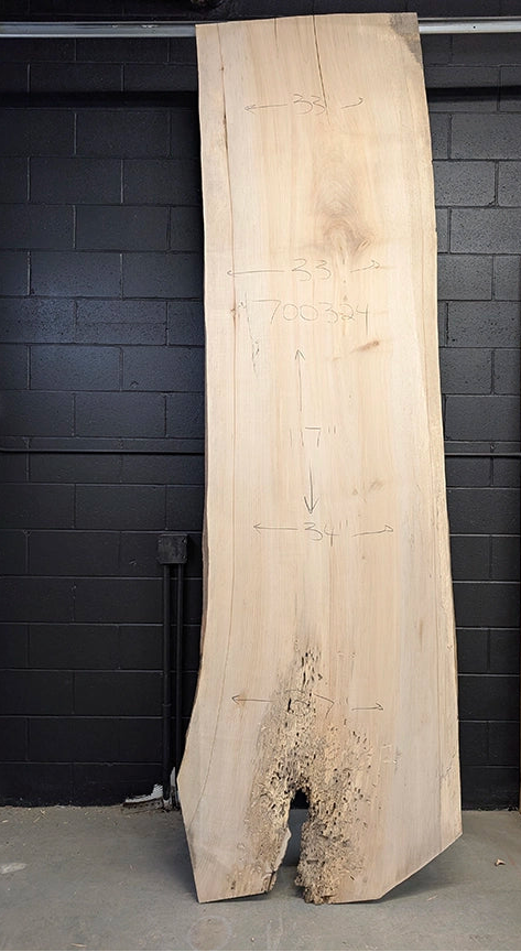 Maple #700324