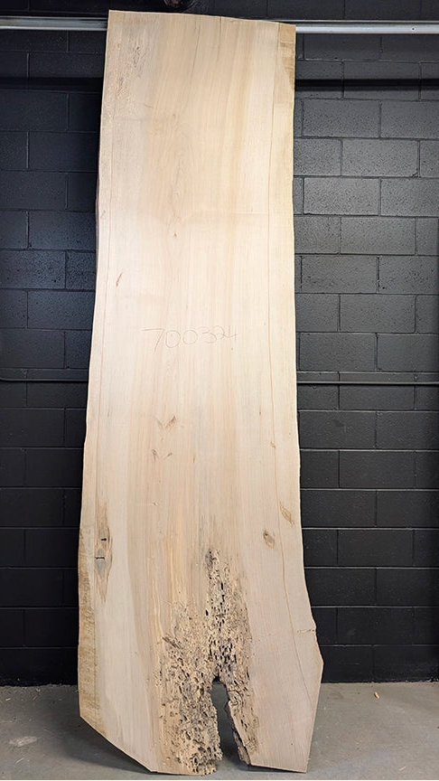 Maple #700324