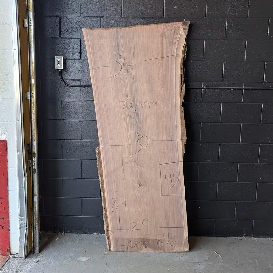 Walnut #700399