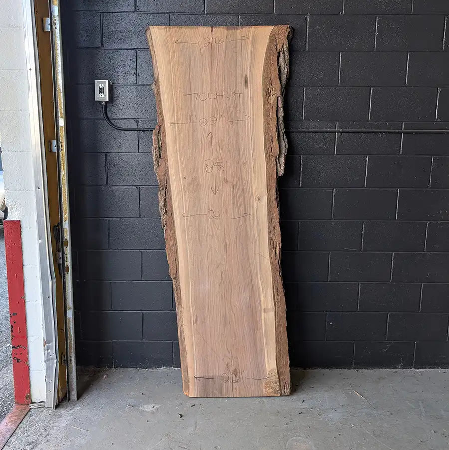 Walnut #70404