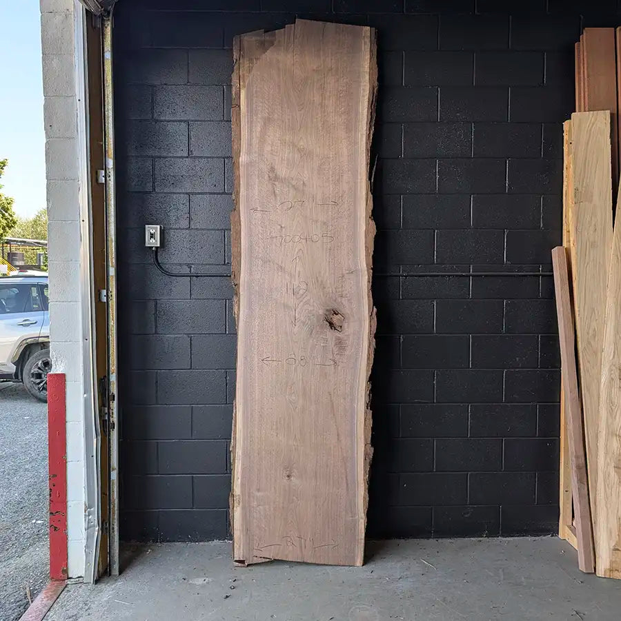 Walnut #700405
