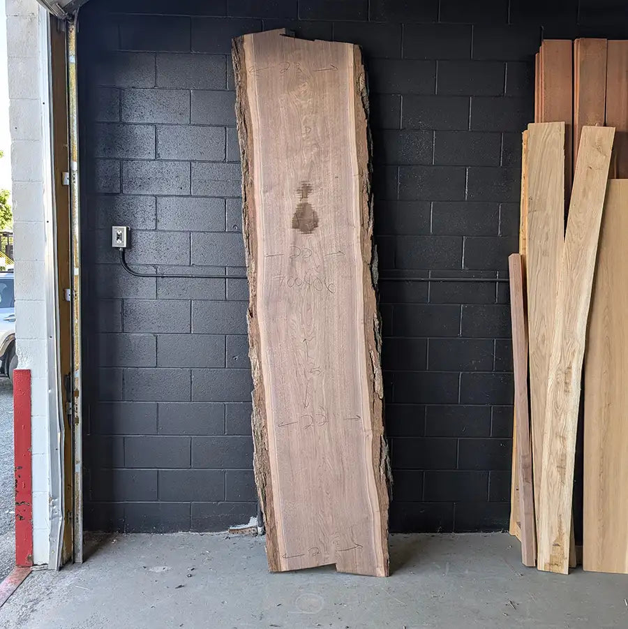 Walnut #700406