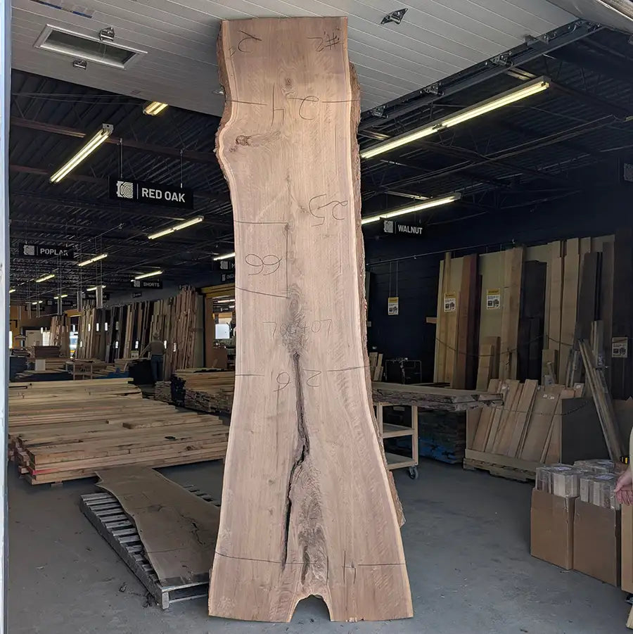 Walnut #700407