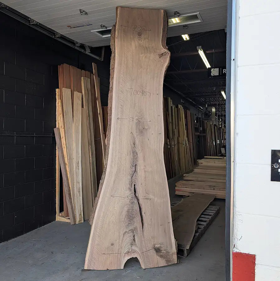 Walnut #700407