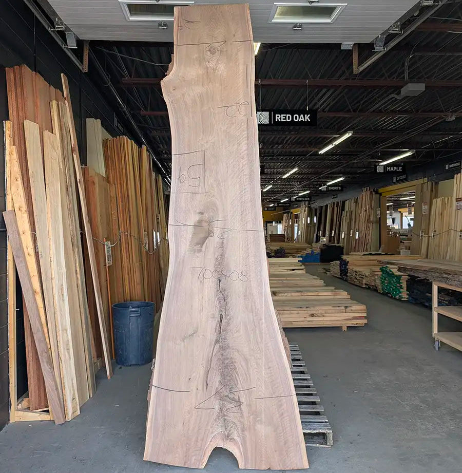 Walnut #700408