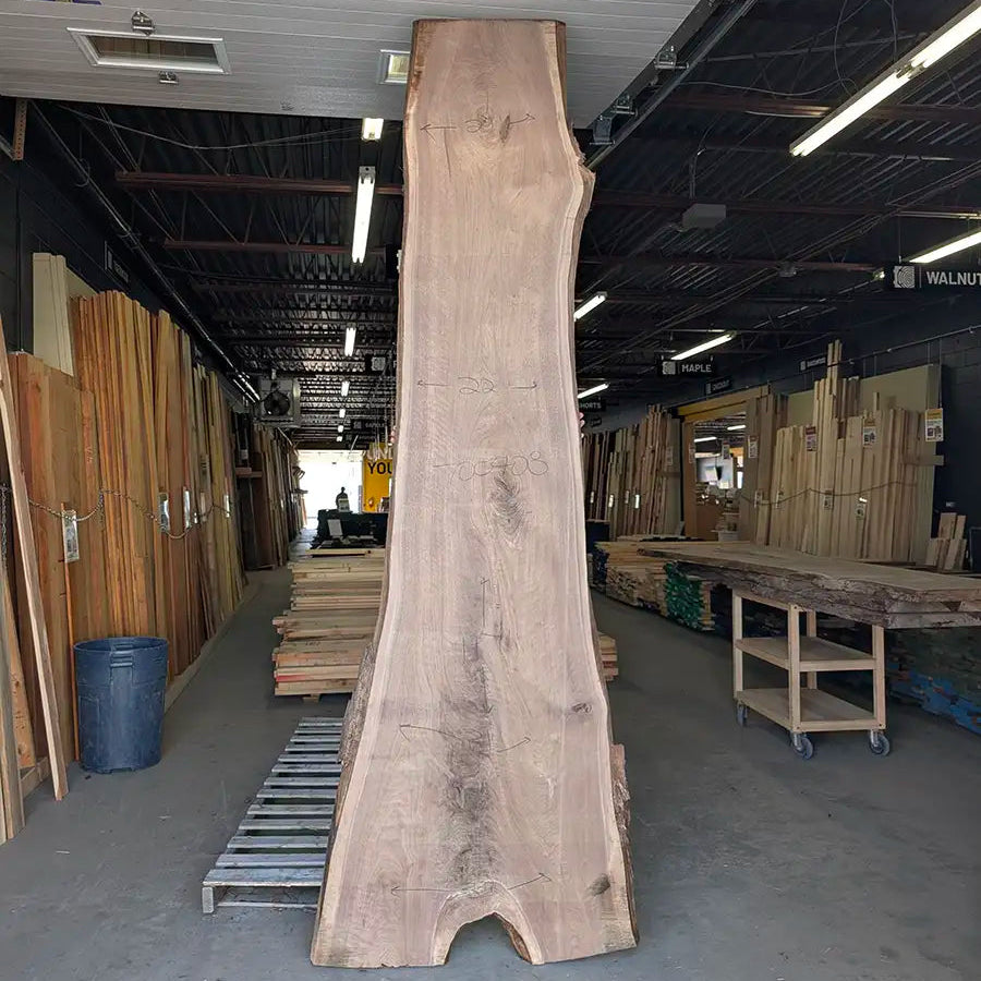 Walnut #700408