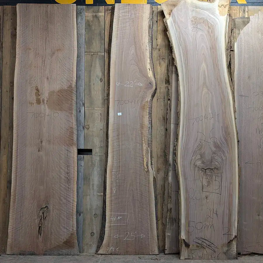 Walnut #700411