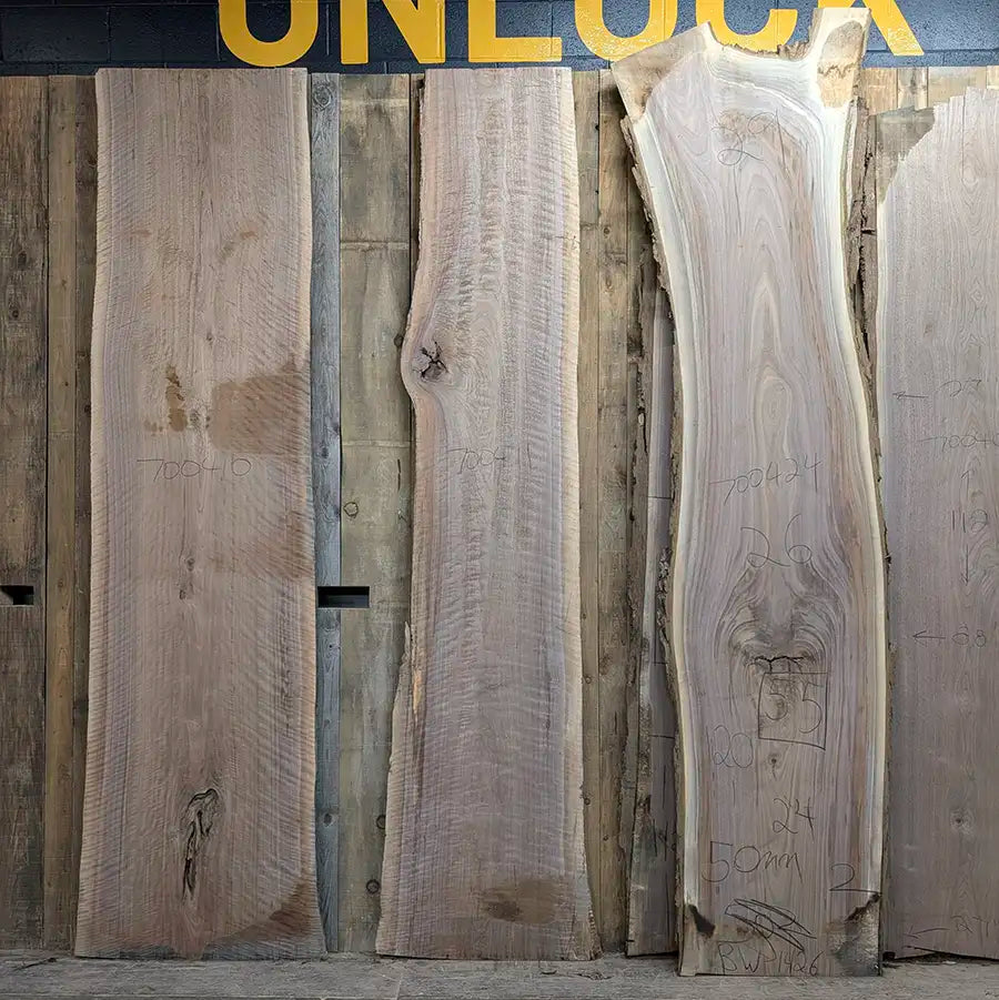 Walnut #700411
