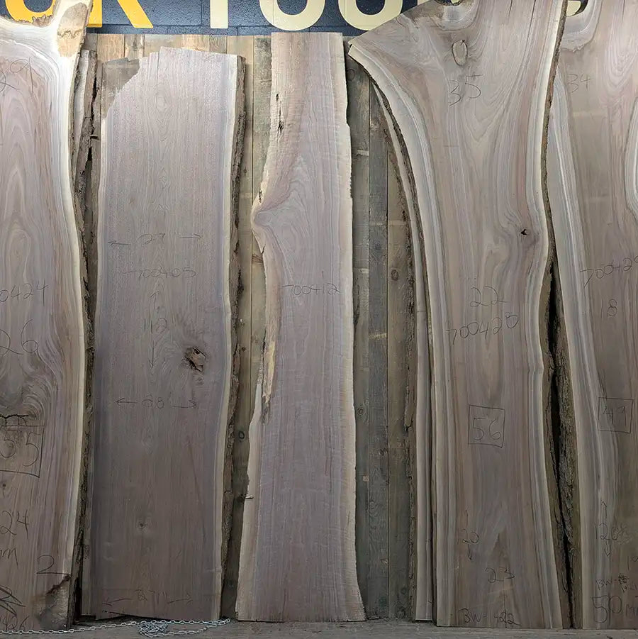 Walnut #700412