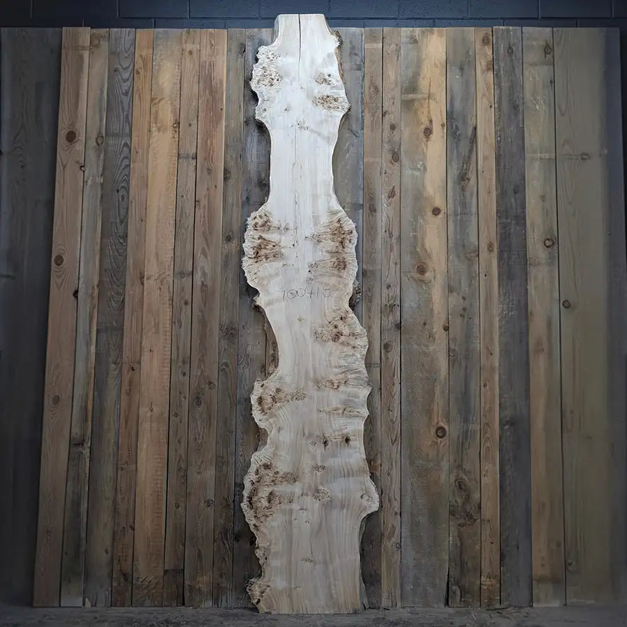 Mappa Burl Slab #700418