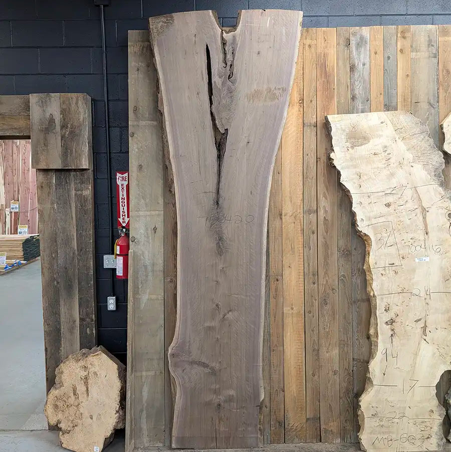 Walnut #700420