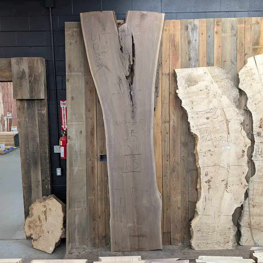 Walnut #700420