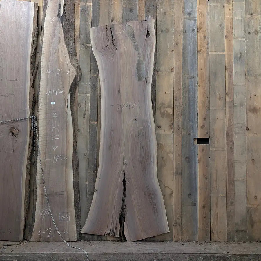 Walnut #700421