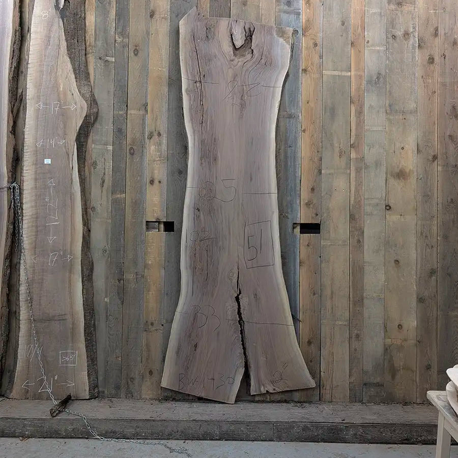 Walnut #700421
