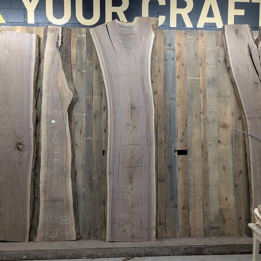Walnut #700425