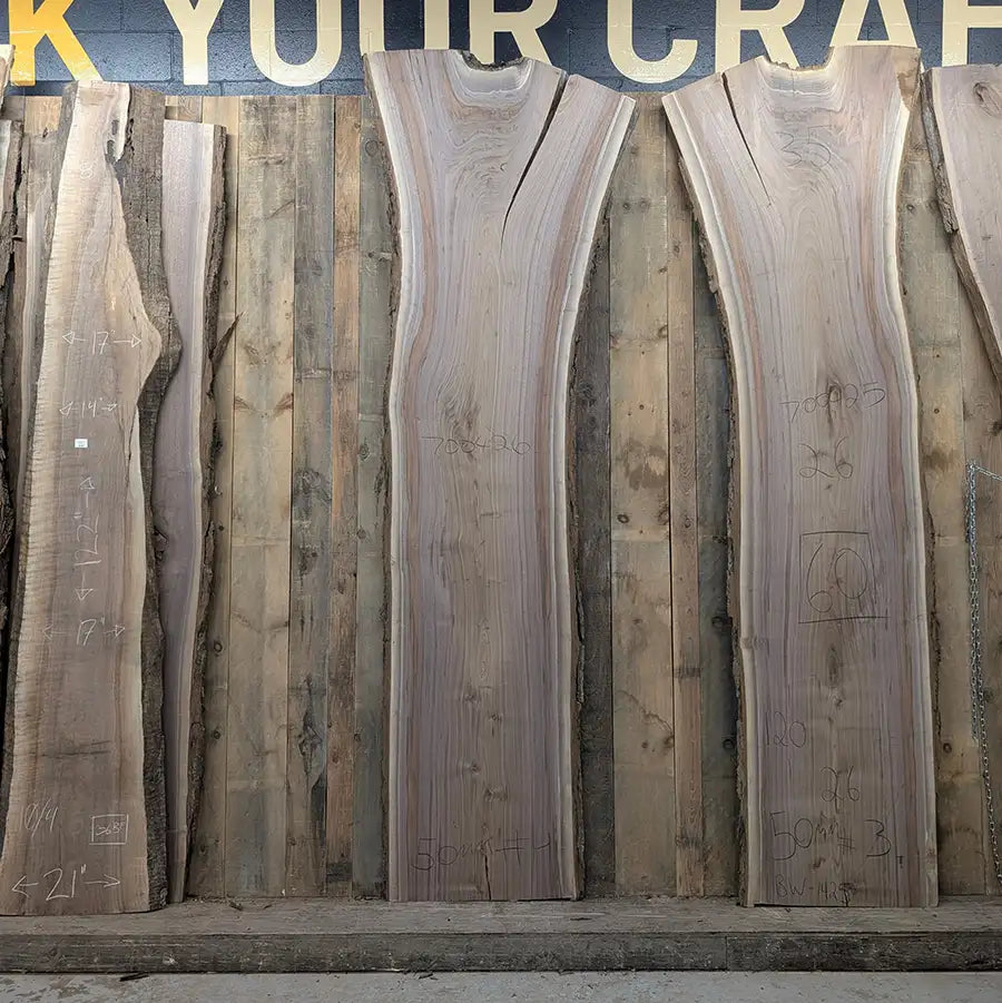 Walnut #700426