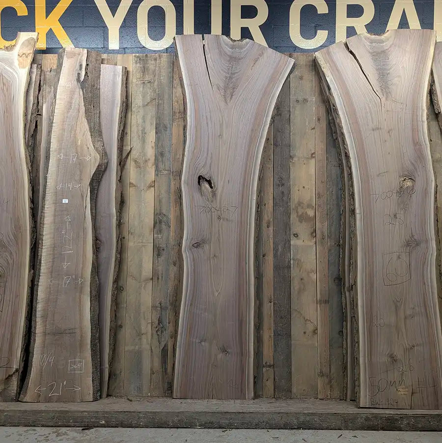 Walnut #700427