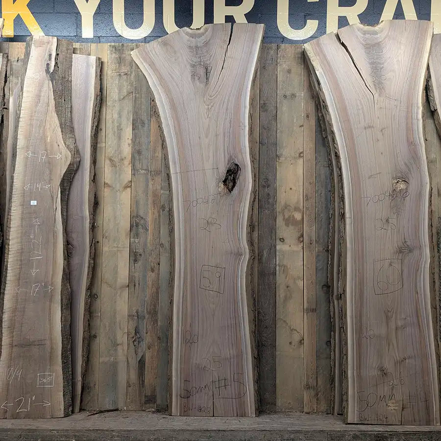 Walnut #700427