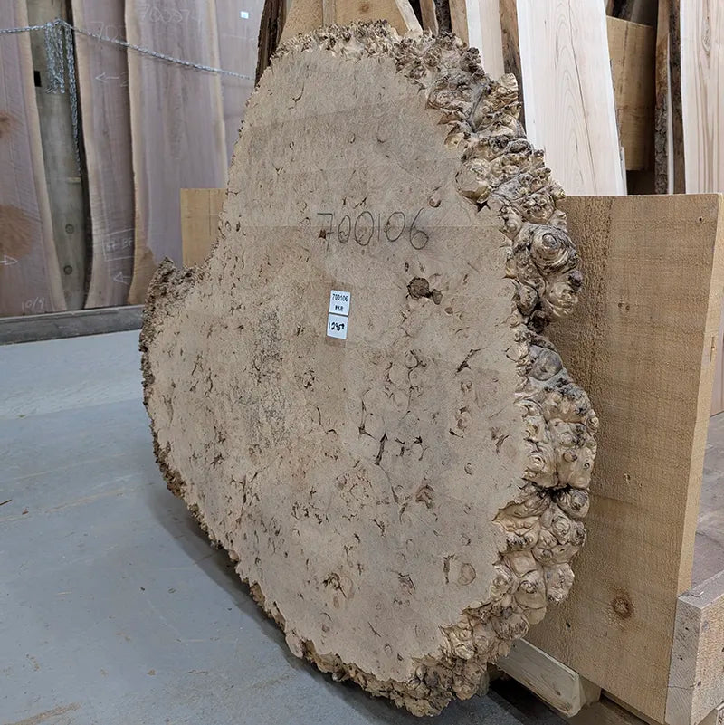 maple burl available for shipping