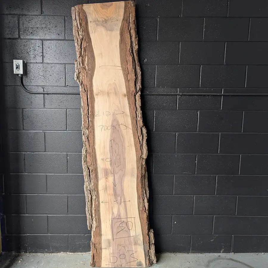 Walnut #700395