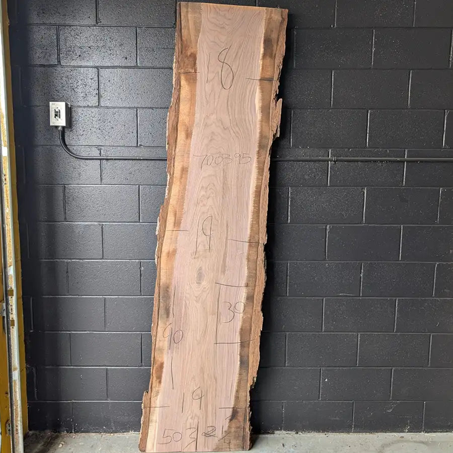 Walnut #700395