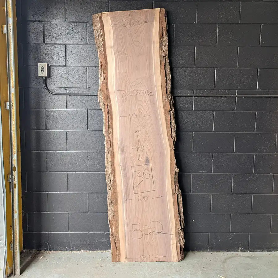 Walnut #700396