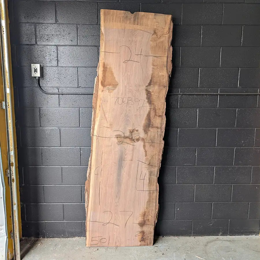 Walnut #700397