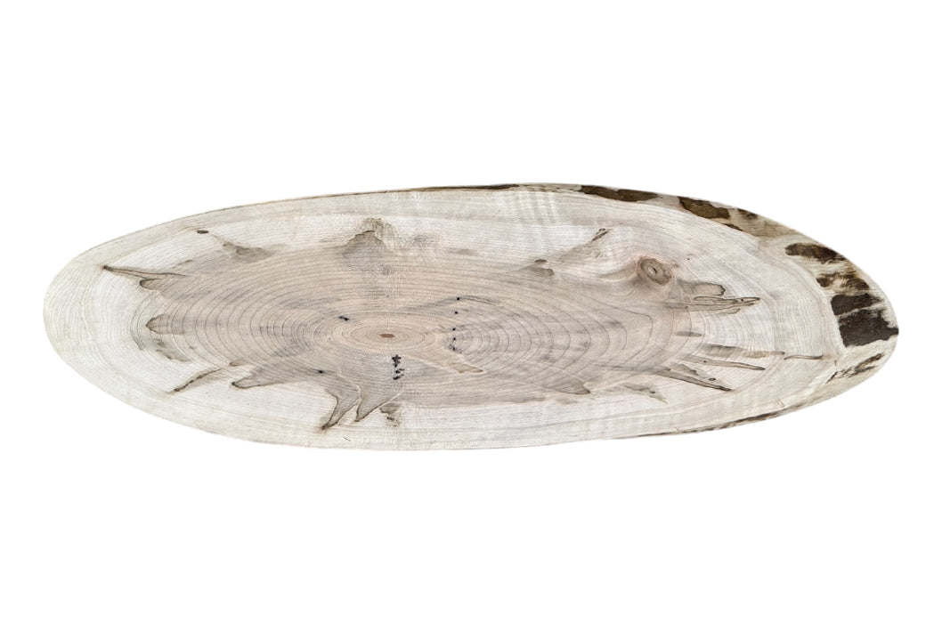 Ambrosia Maple Wood Slice