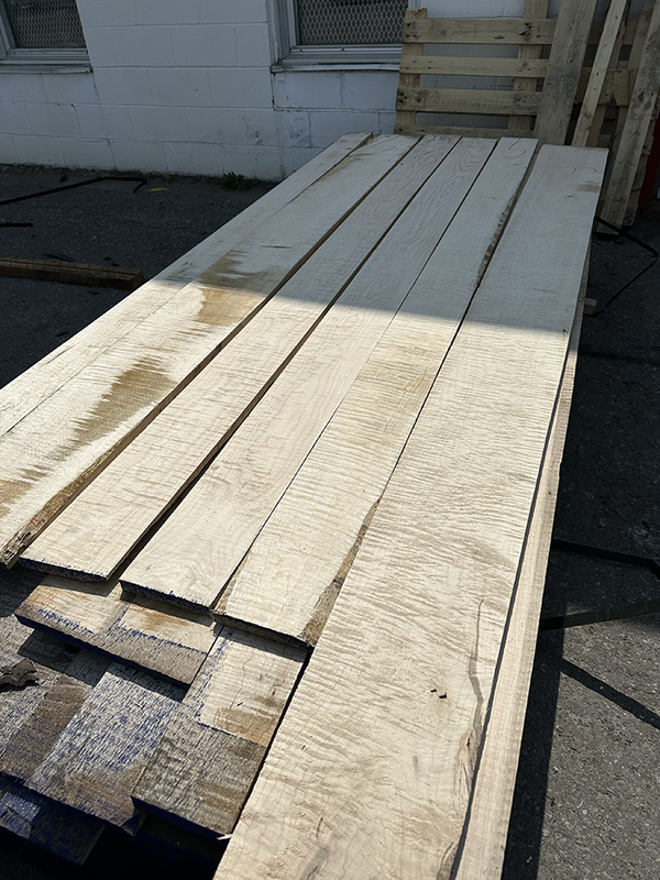 4/4 Rough Cut Curly Maple Lumber