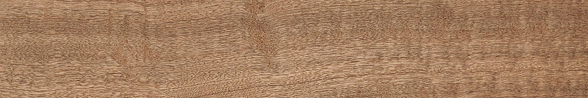 The Wood Vault