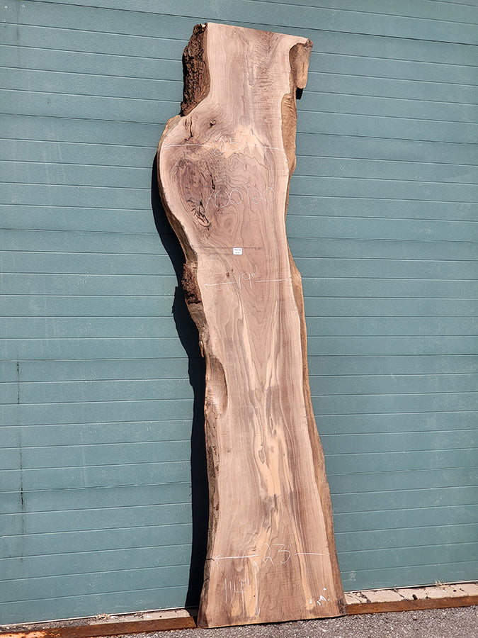 Walnut Live Edge Slab