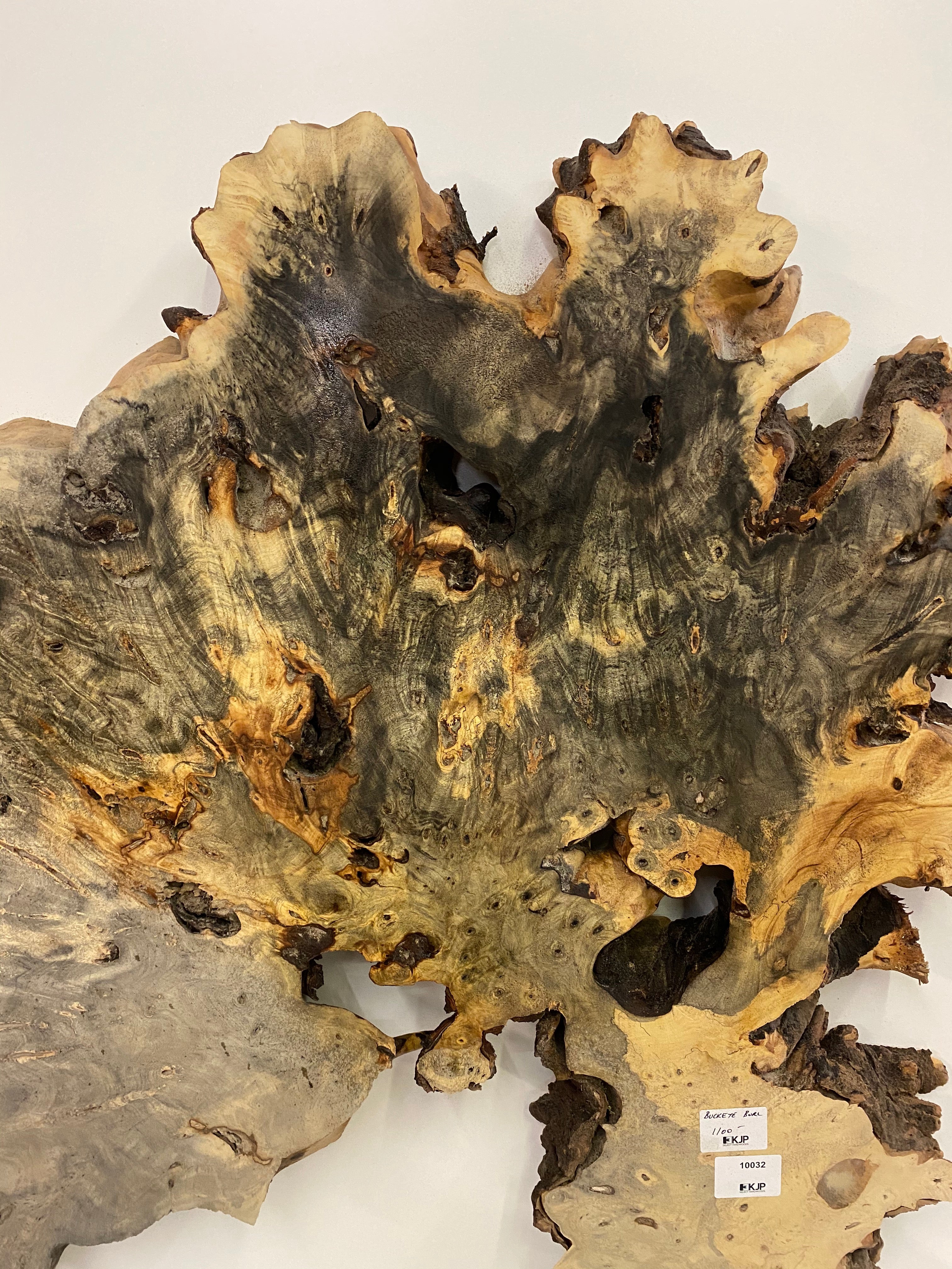 Buckeye Burl Slab - 2-1/4" x 35" x 37"