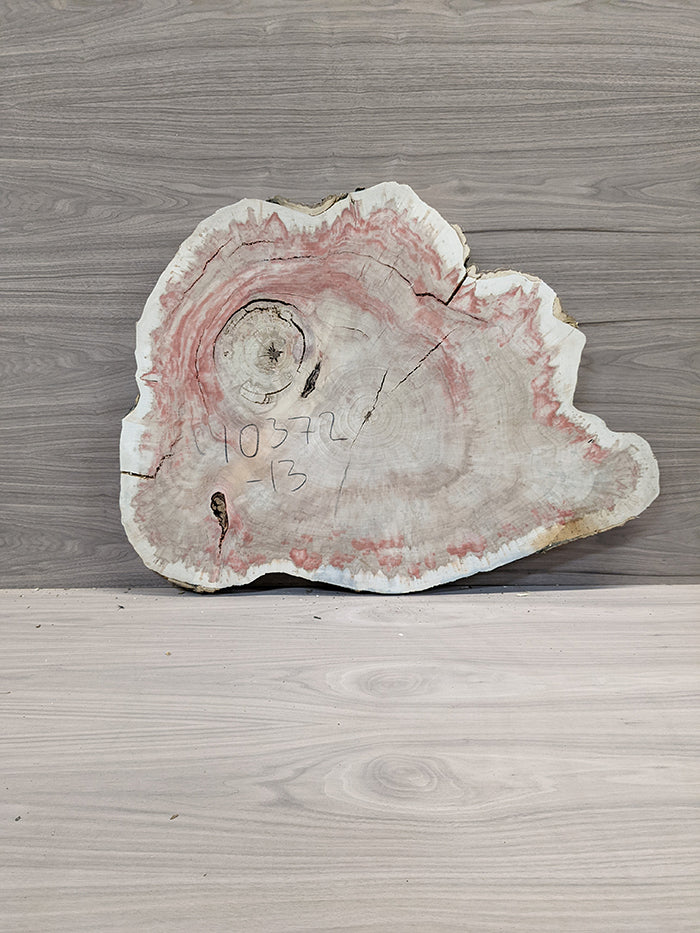 Box Elder Burl - Cross Cut Slab