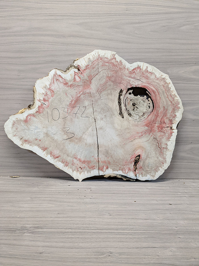 Box Elder Burl - Cross Cut Slab