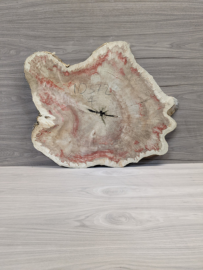 Box Elder Burl - Cross Cut Slab