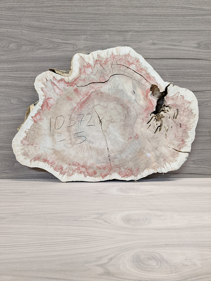 Box Elder Burl - Cross Cut Slab