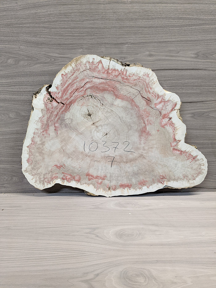 Box Elder Burl - Cross Cut Slab