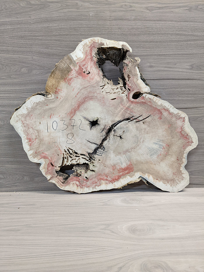Box Elder Burl - Cross Cut Slab