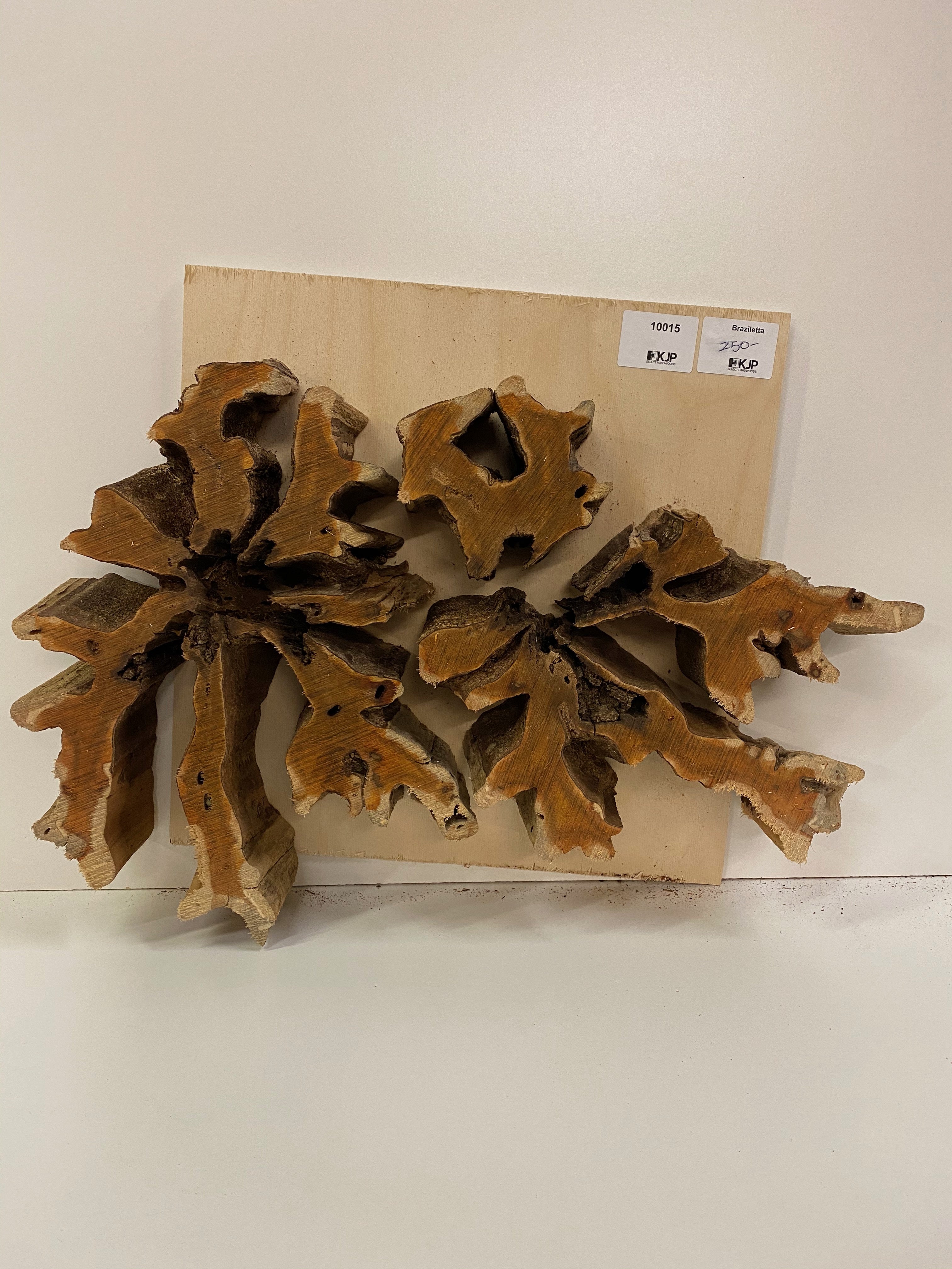 Brasiletta Slice - 3" x 20" x 14"