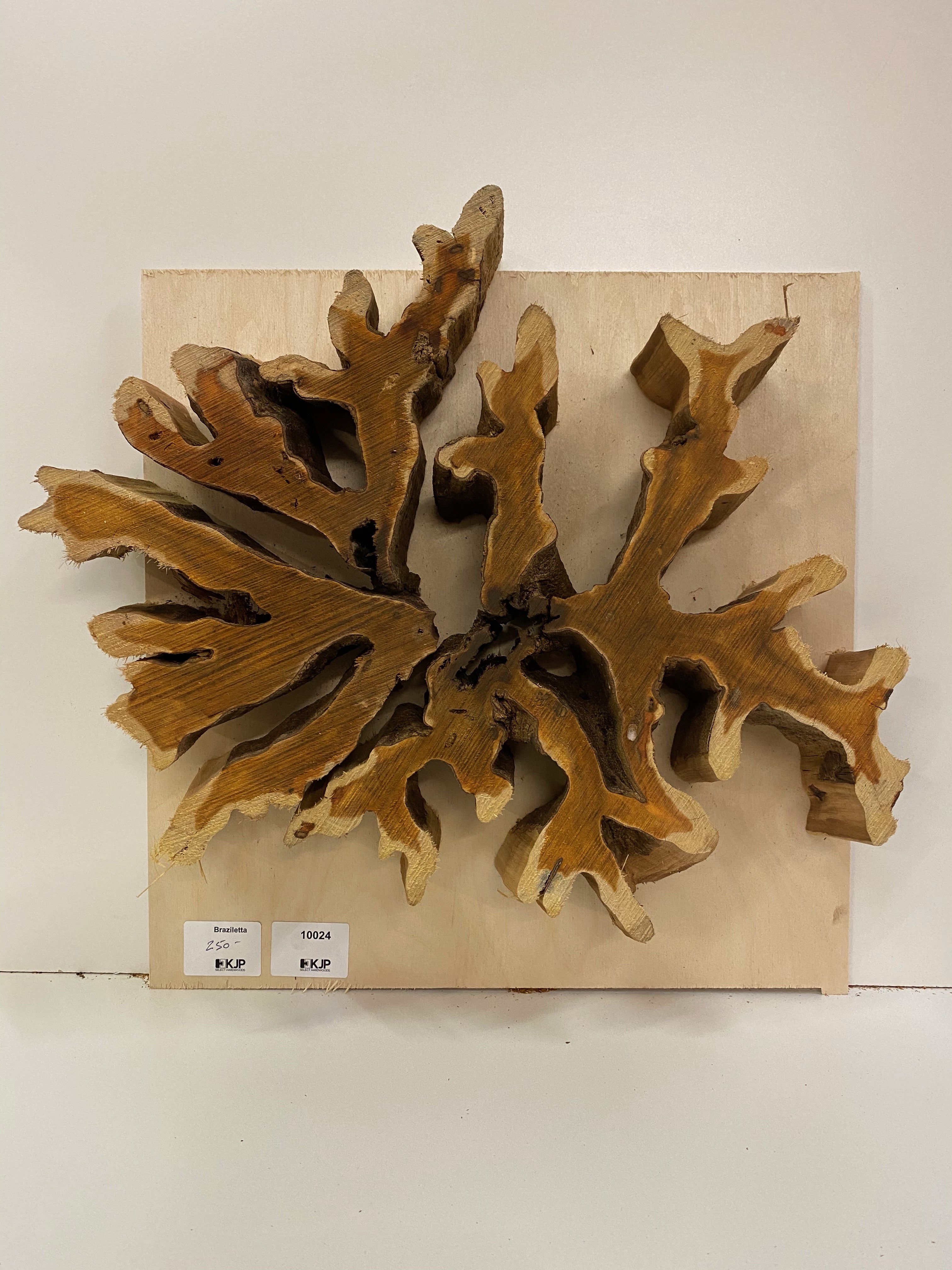 Brasiletta Slice - 3" x 18" x 15"