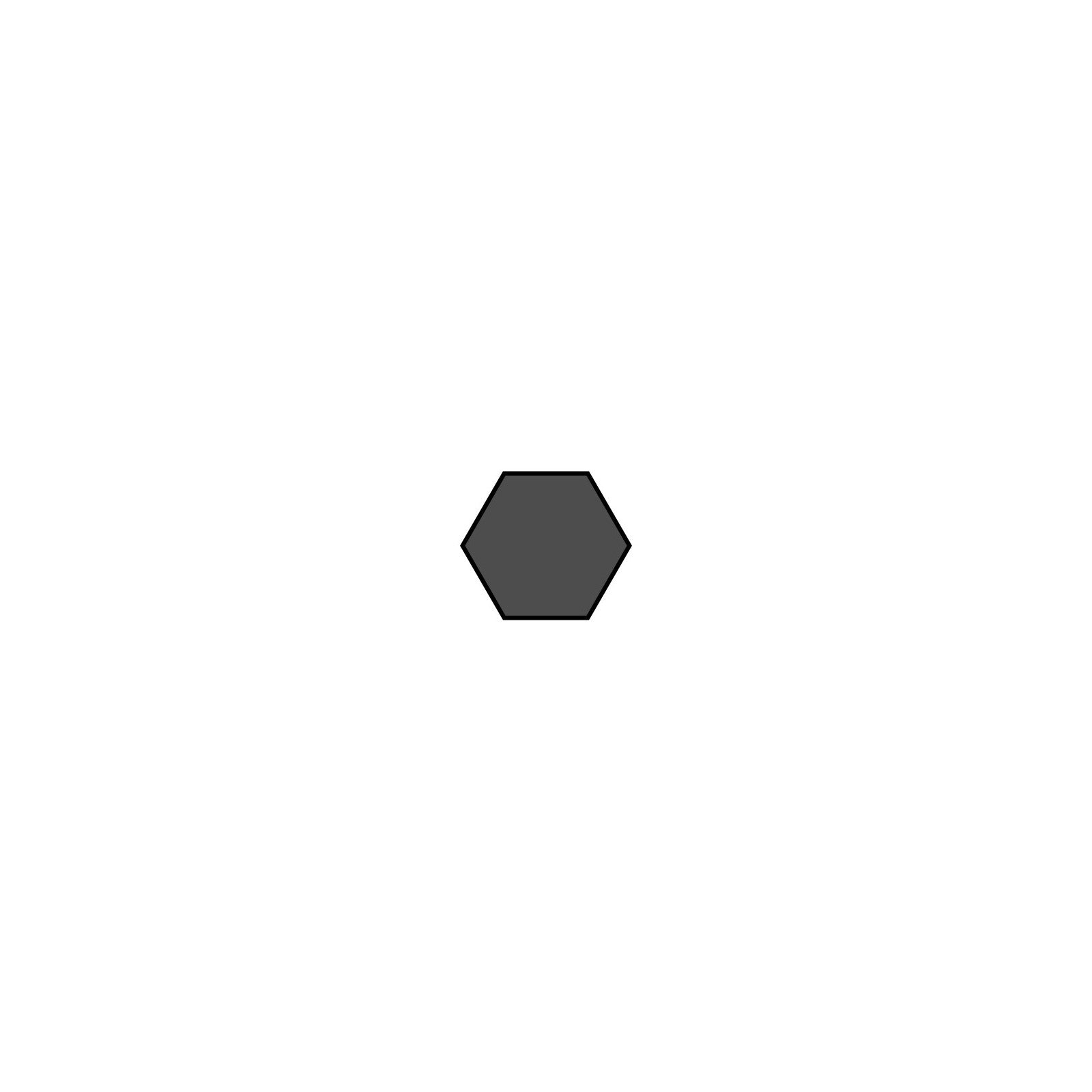 Rampa - Hex Driver Bit
